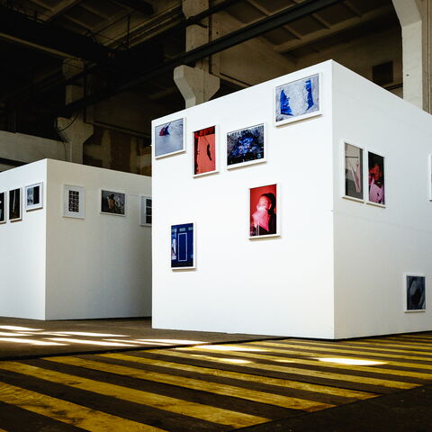 Zingst 2016 … Young Professionals