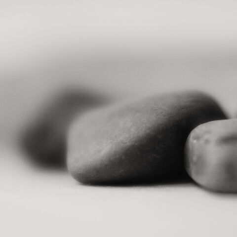 dermonat 2022-06 - Monatsblog, Monatsbericht