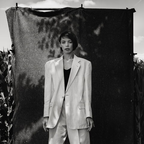 DORKA … High-Noon in the cornfield @2025