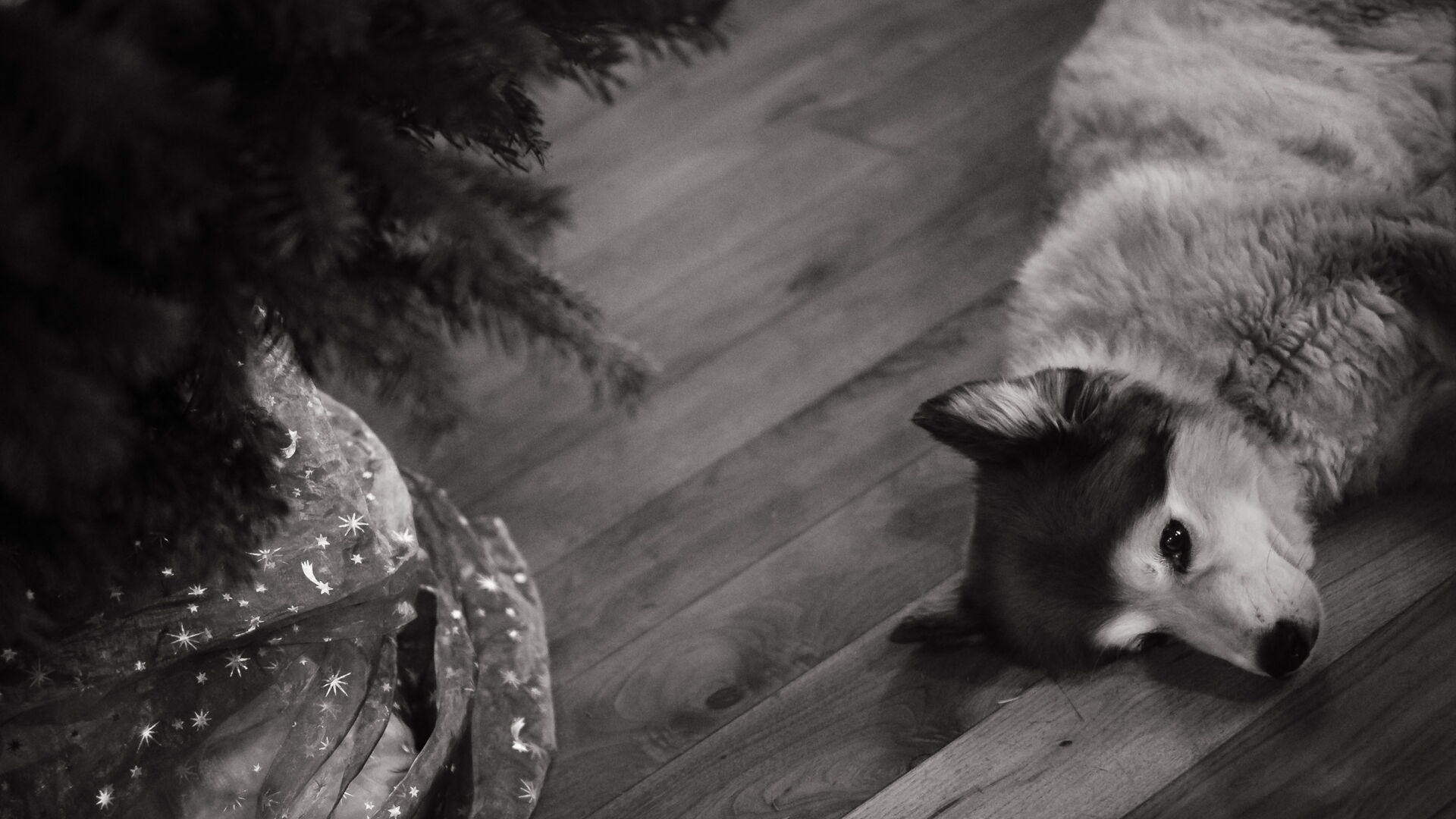 Weihnachtssbrunch 2019 bei den Ullis