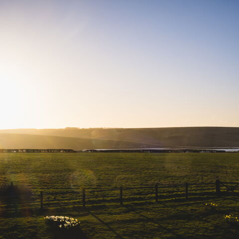 SOMETHING NICE FROM OUR LOVELY B & B, Unser »& & B Guesthouse«, Seaford - England 2019