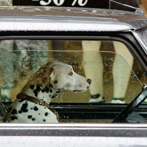 Paris 2014 | Galerie