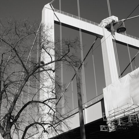 Einfach mal raus im Sonnenschein … Ausflug nach Rodenkirchen @2022