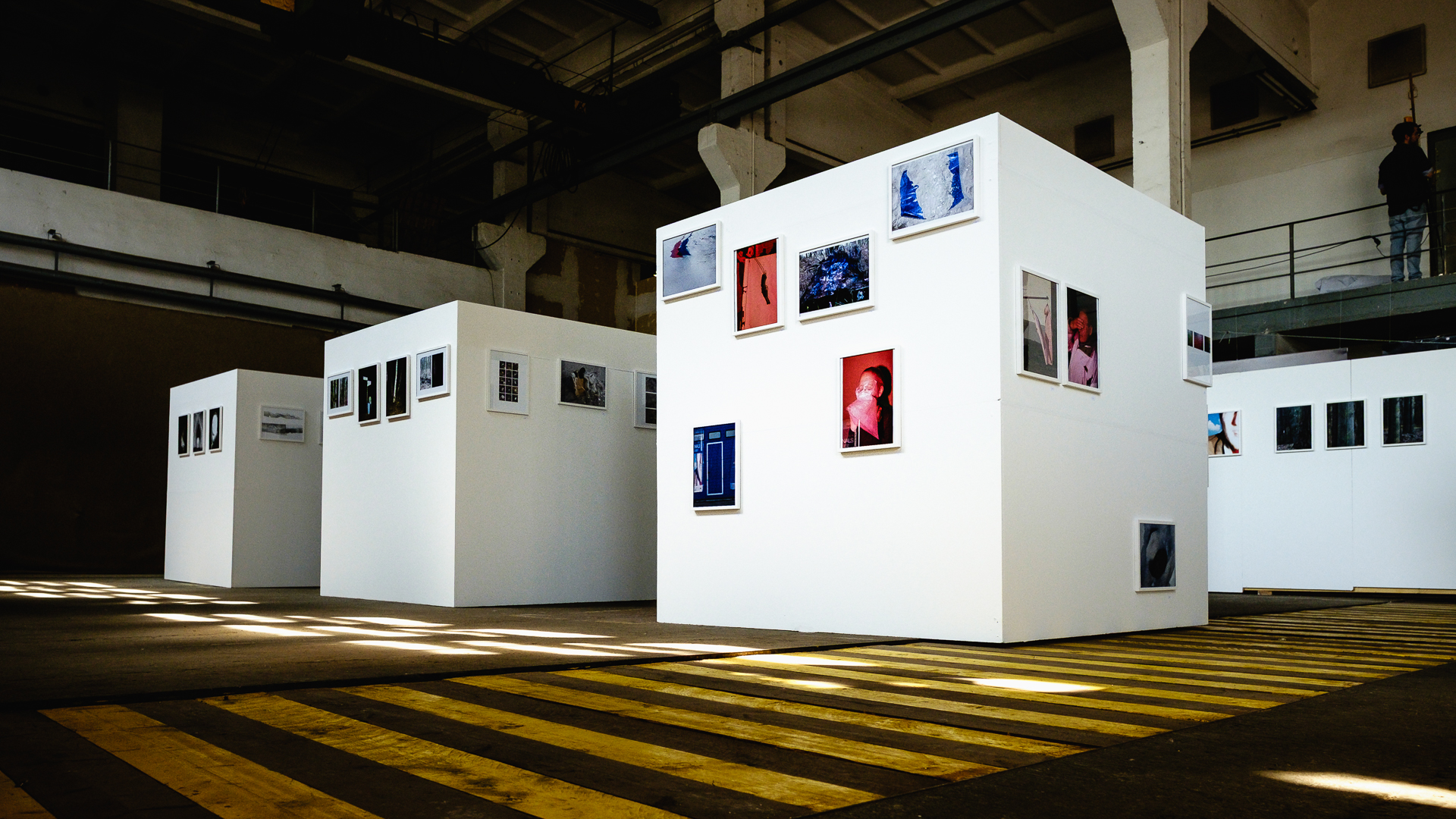 Zingst 2016 … Young Professionals