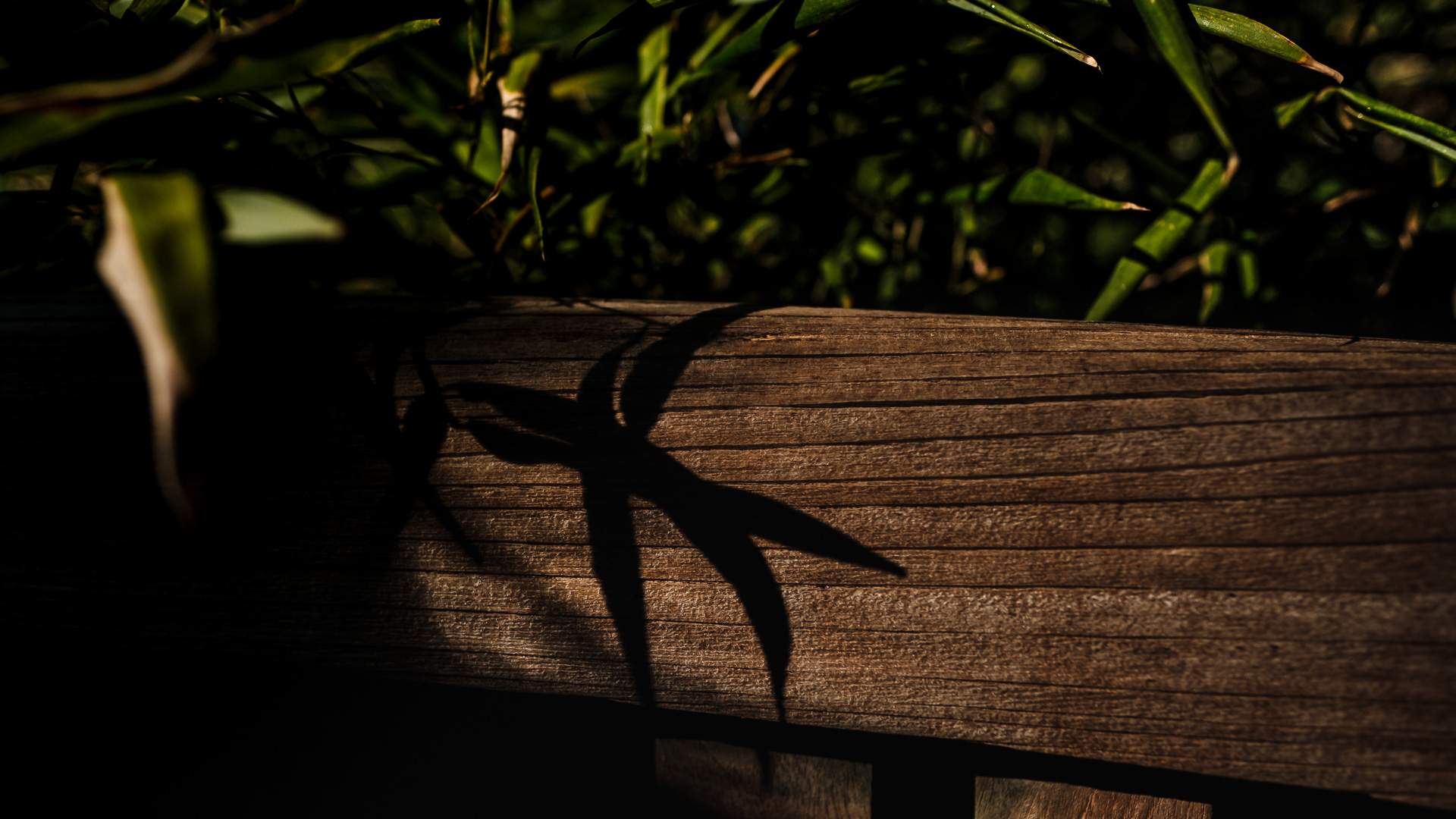 Gartenidylle im Corona / Lockdown … 12 Monate später