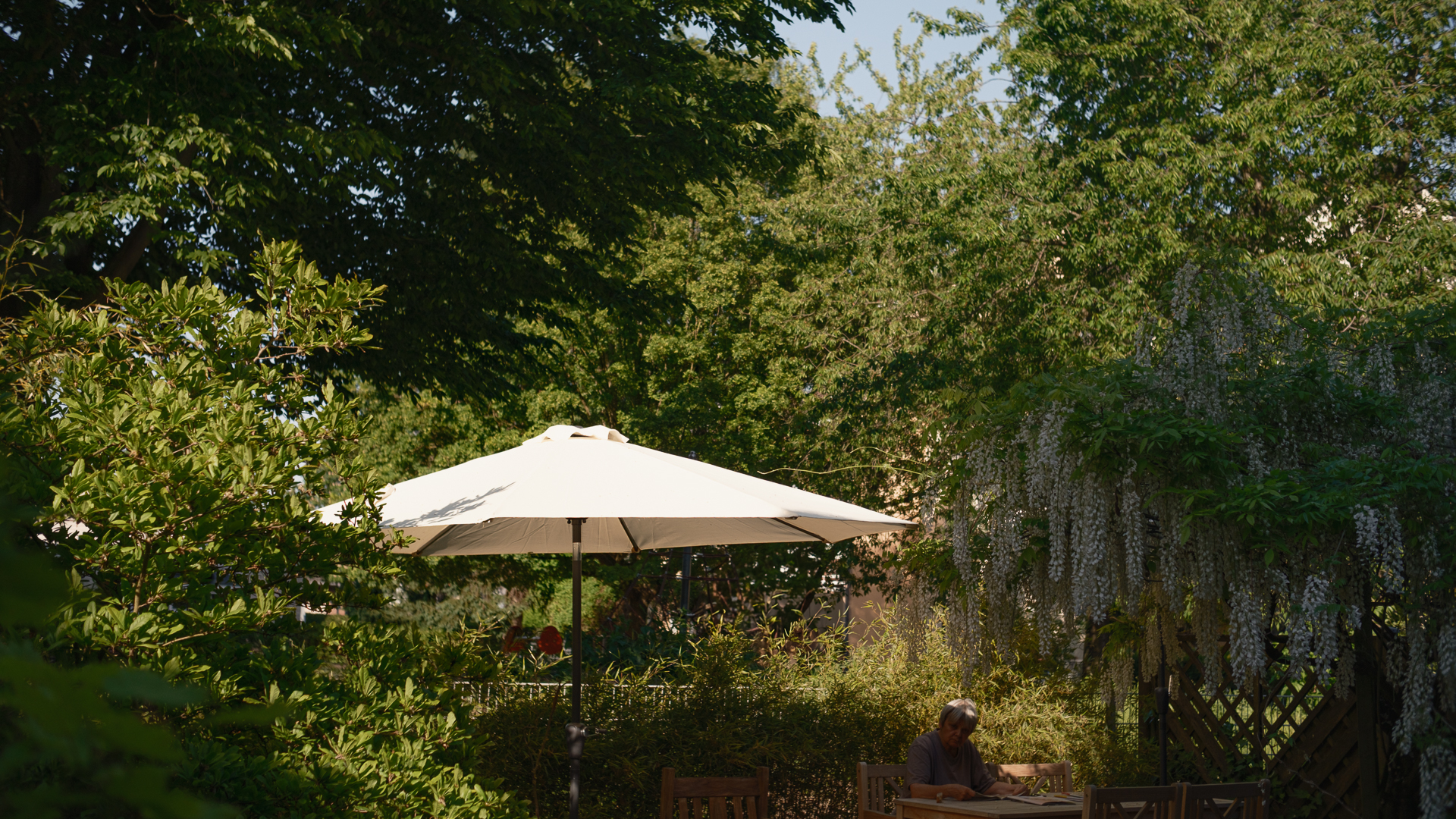 Von einem sonnigen Abend im Garten … und dem Pergear 25mm f/1.7 … @2025